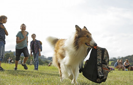 Lassie eine abenteuerliche reise 31